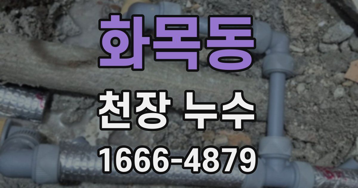 화목동 천장 누수
