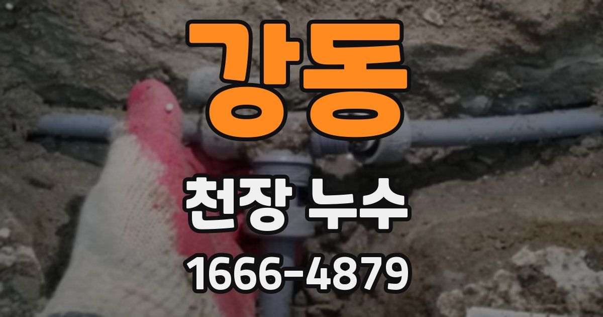 강동 천장 누수
