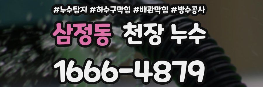 삼정동 천장 누수