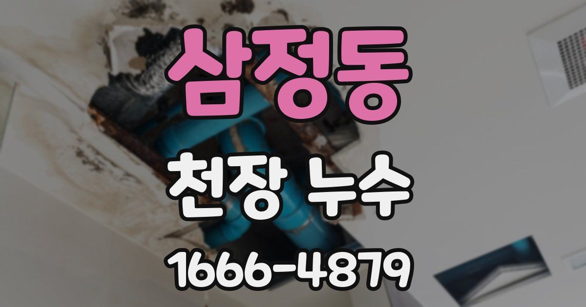 삼정동 천장 누수