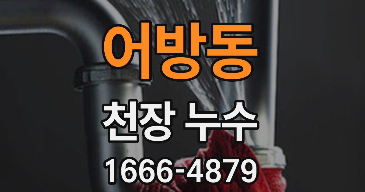 어방동 천장 누수