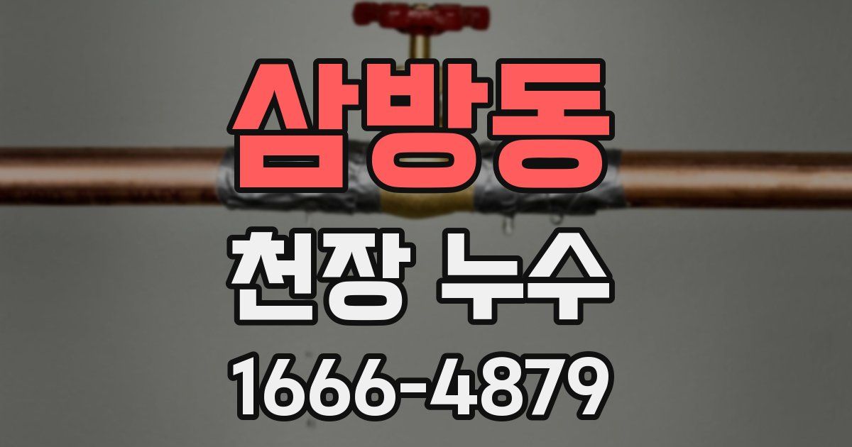 삼방동 천장 누수