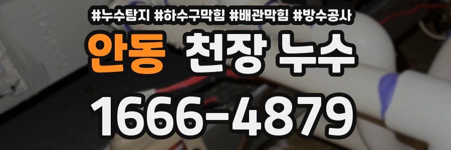 안동 천장 누수