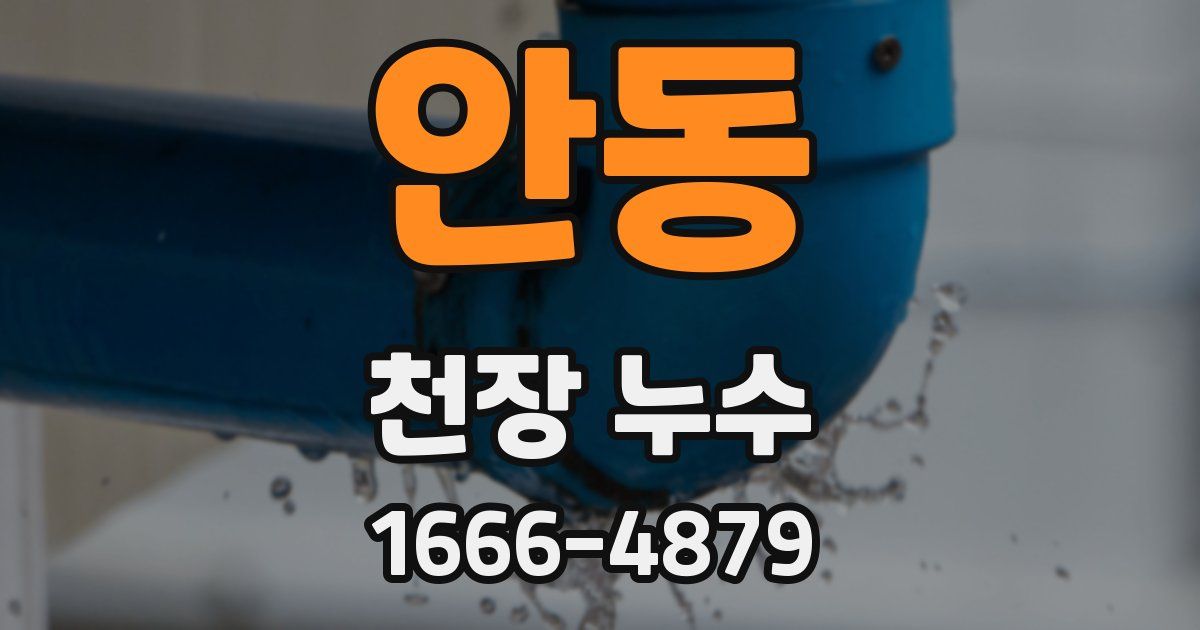 안동 천장 누수