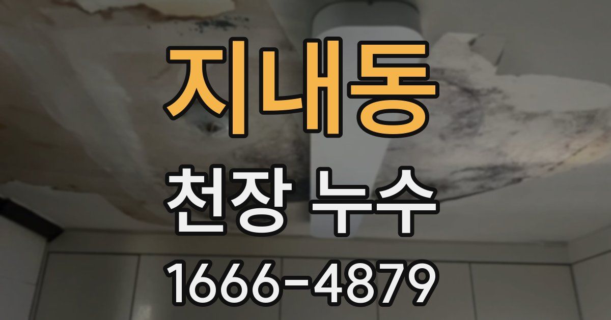 지내동 천장 누수