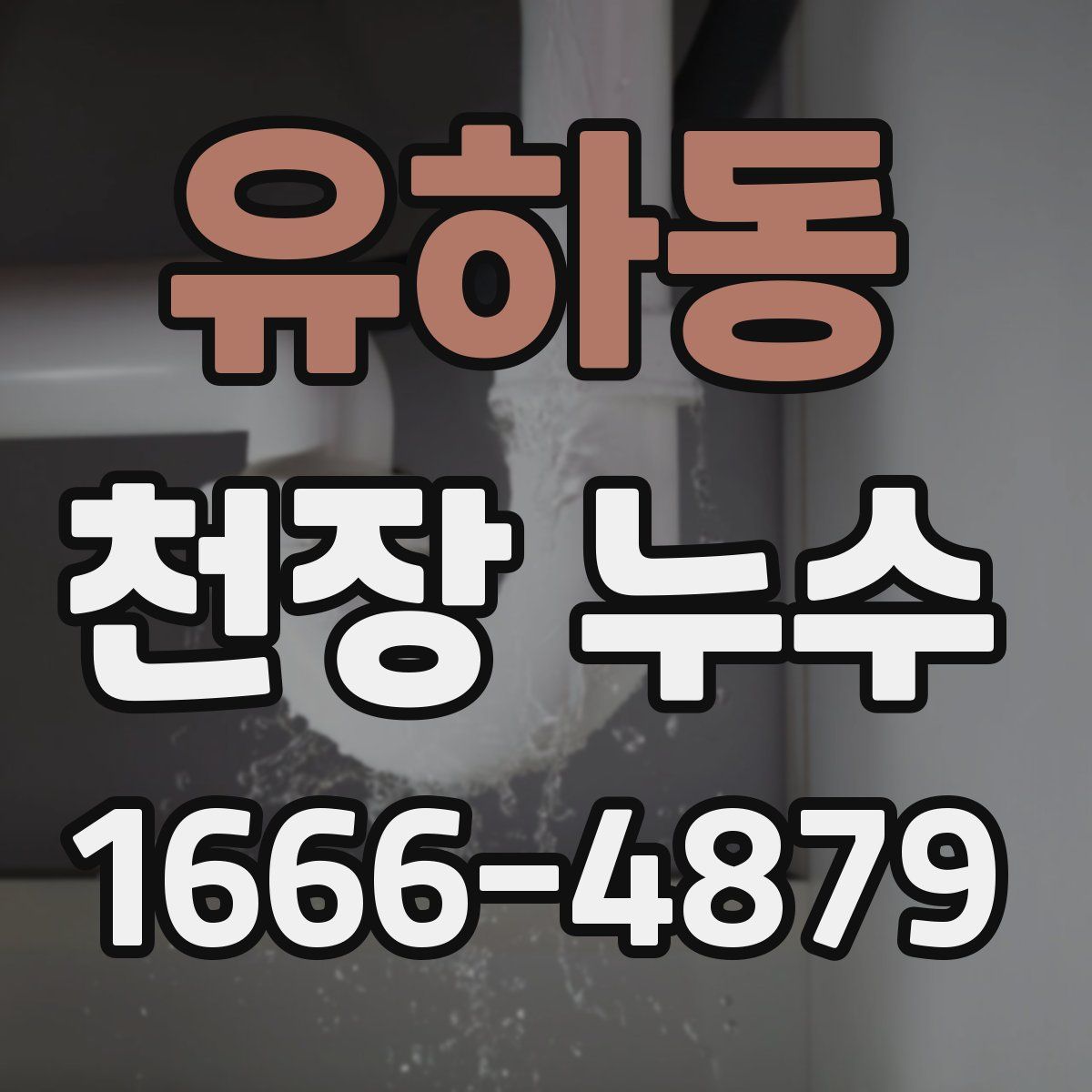 유하동 천장 누수