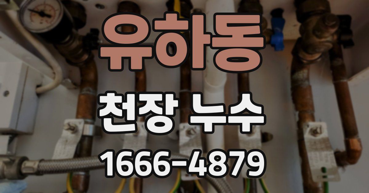 유하동 천장 누수