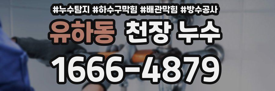 유하동 천장 누수