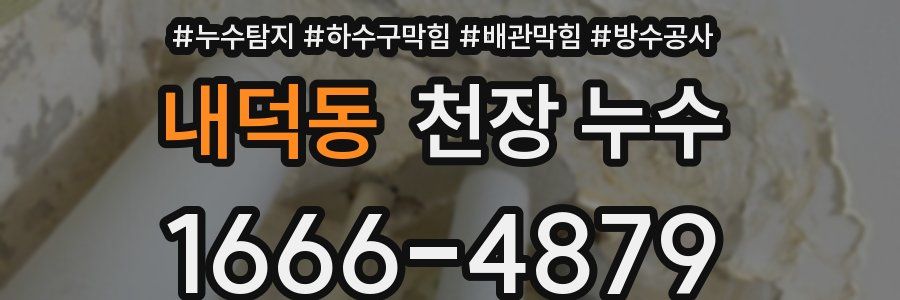 내덕동 천장 누수