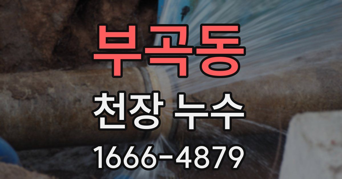 부곡동 천장 누수