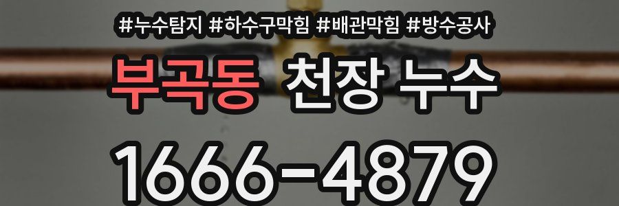 부곡동 천장 누수