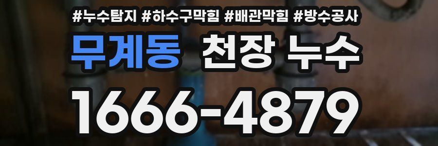 무계동 천장 누수