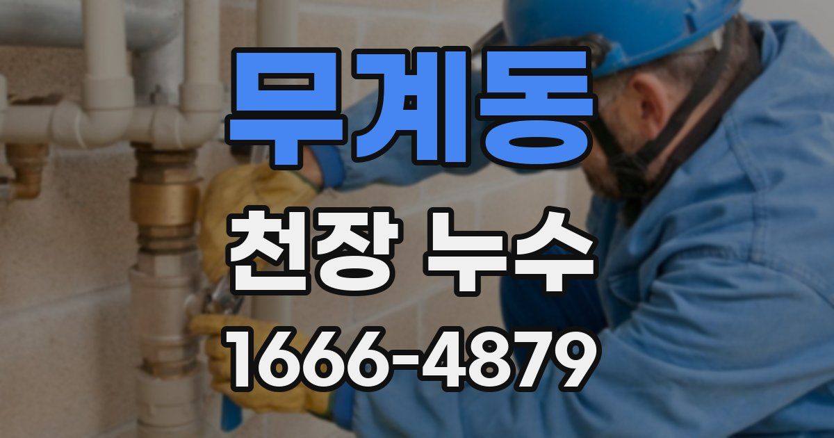 무계동 천장 누수
