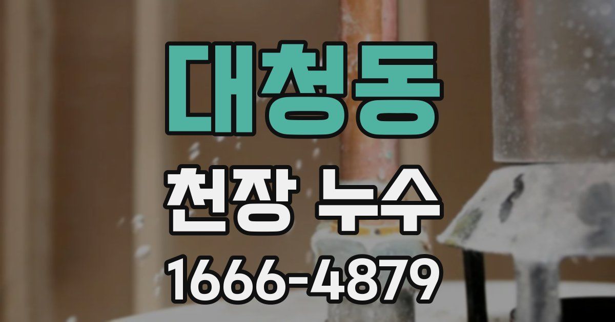 대청동 천장 누수