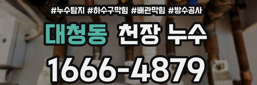 대청동 천장 누수