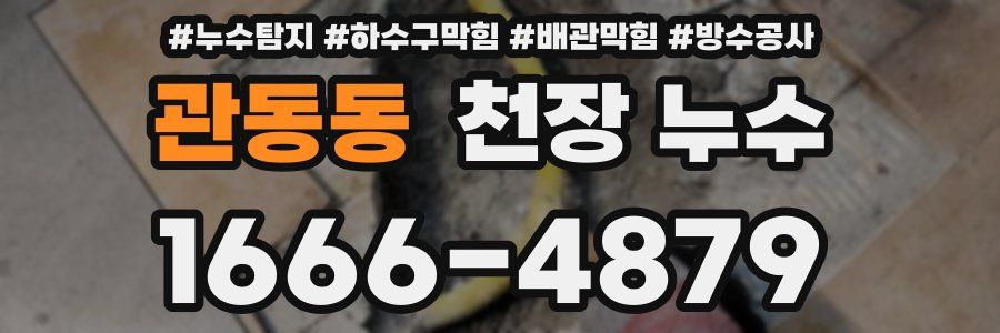 관동동 천장 누수