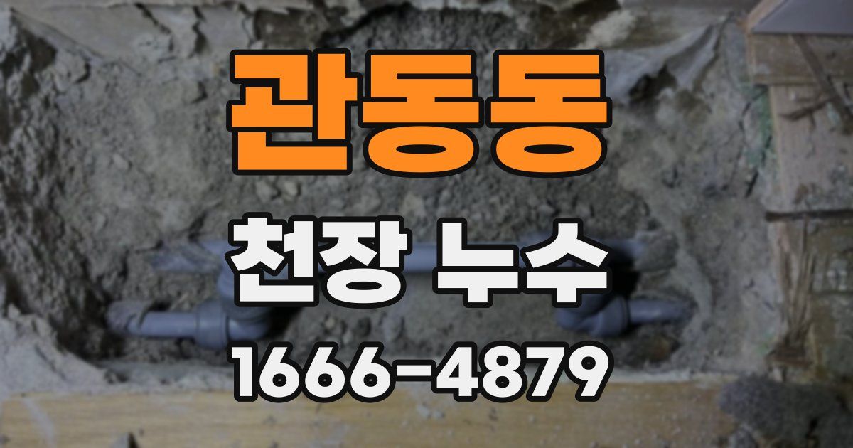 관동동 천장 누수