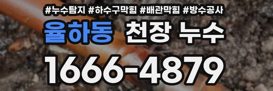 율하동 천장 누수