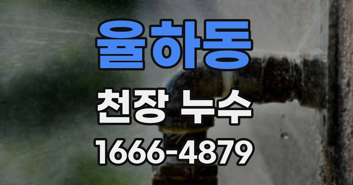 율하동 천장 누수