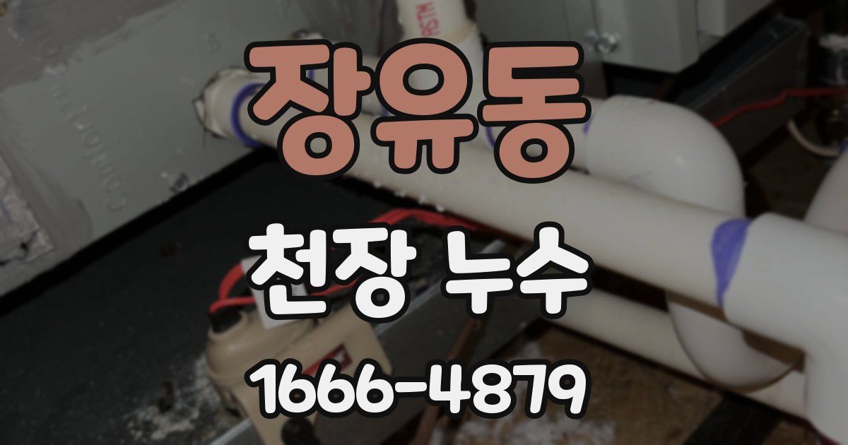 장유동 천장 누수