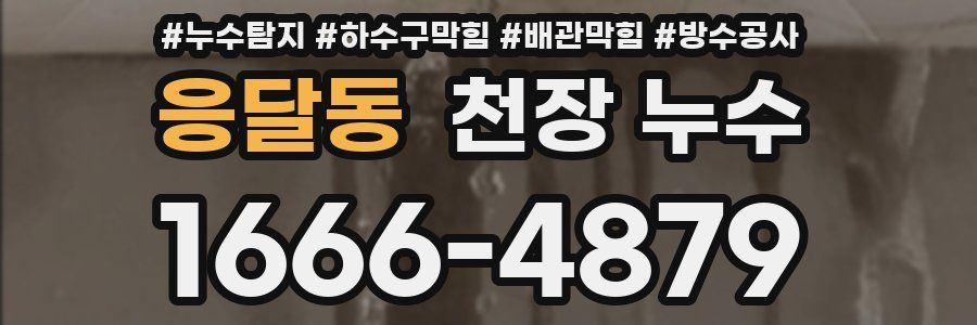 응달동 천장 누수