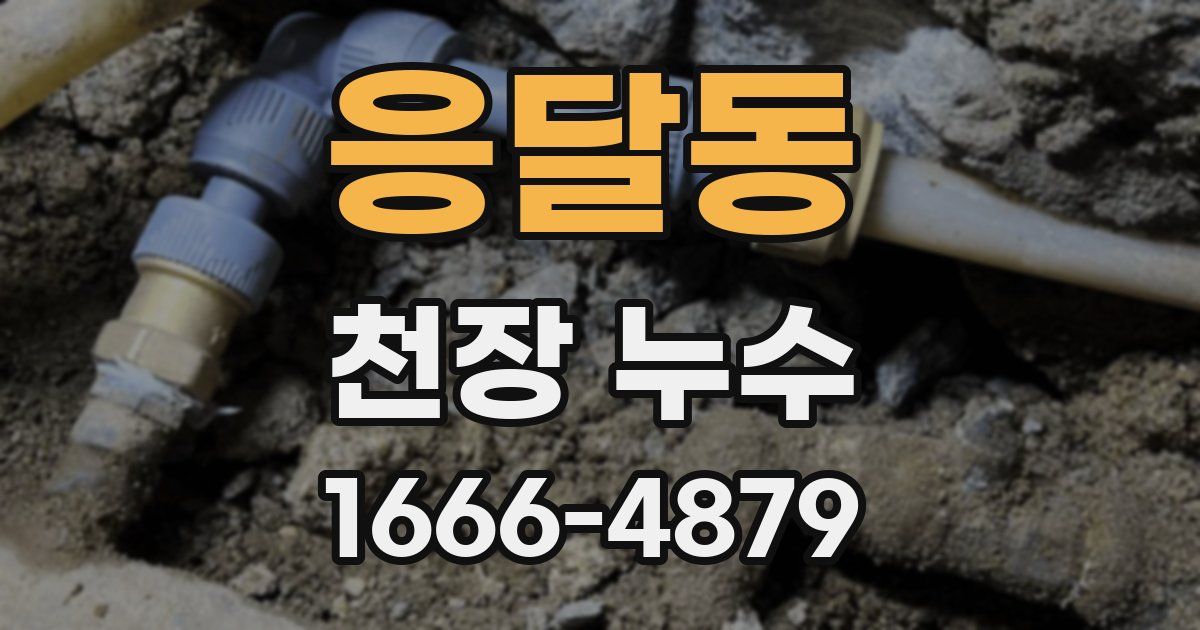 응달동 천장 누수