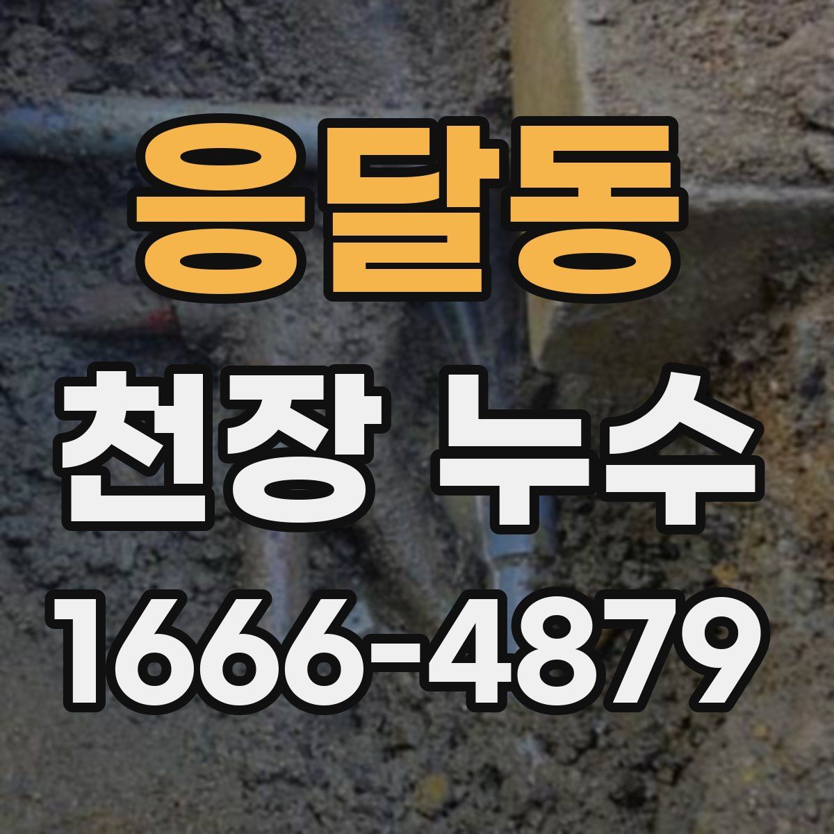 응달동 천장 누수