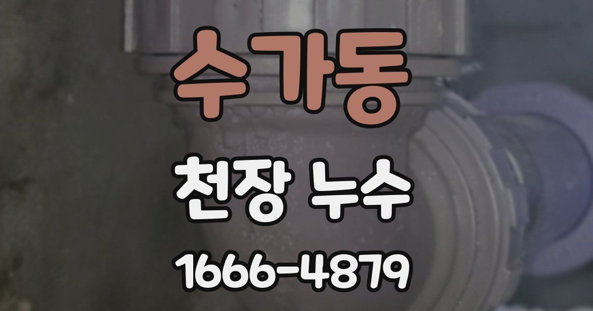 수가동 천장 누수