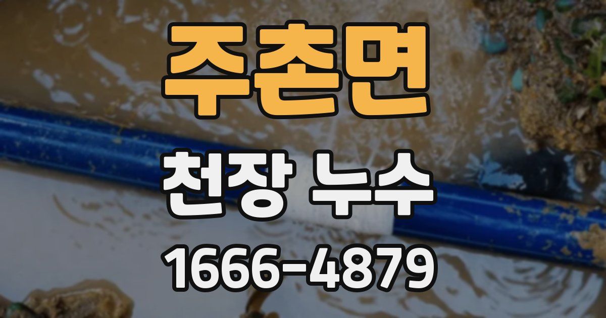 주촌면 천장 누수