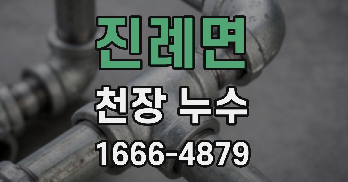 진례면 천장 누수