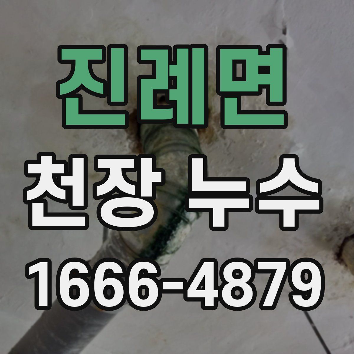 진례면 천장 누수