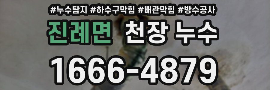 진례면 천장 누수
