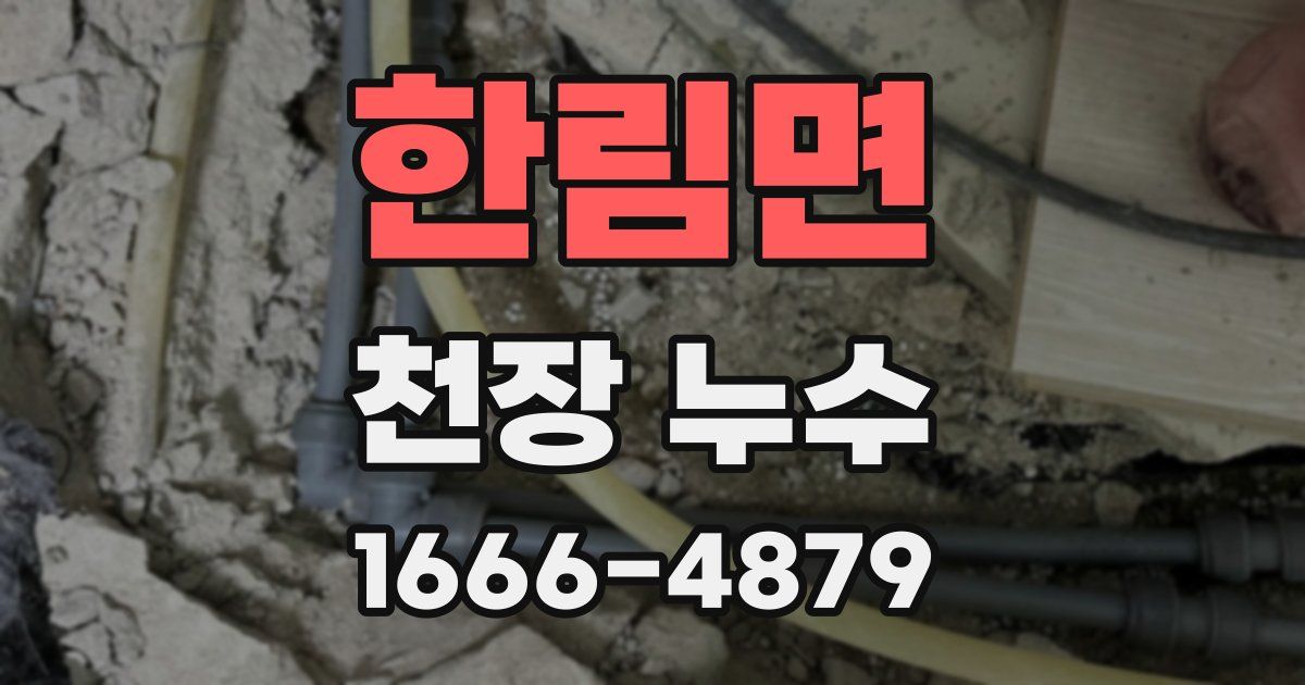 한림면 천장 누수