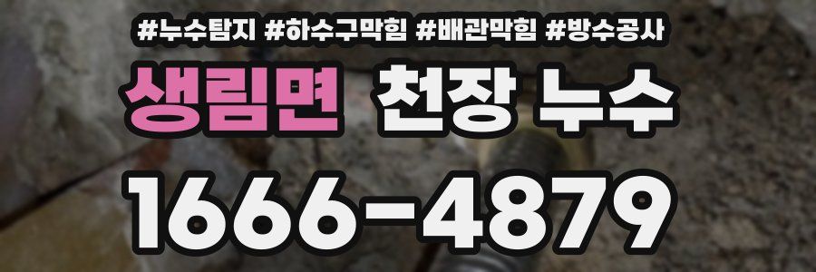 생림면 천장 누수