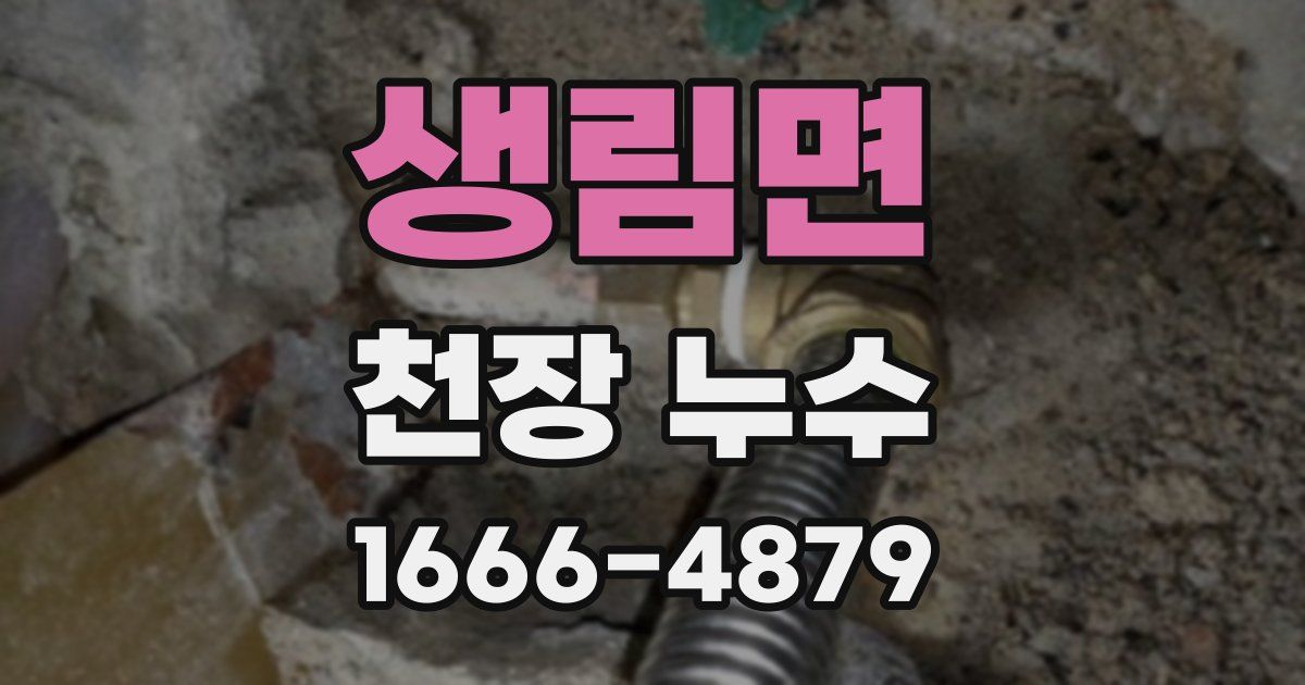 생림면 천장 누수