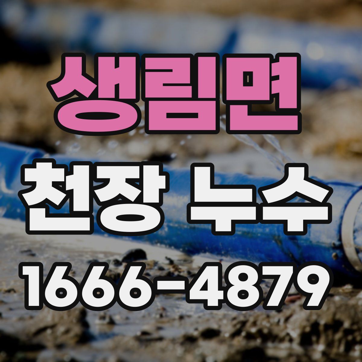 생림면 천장 누수