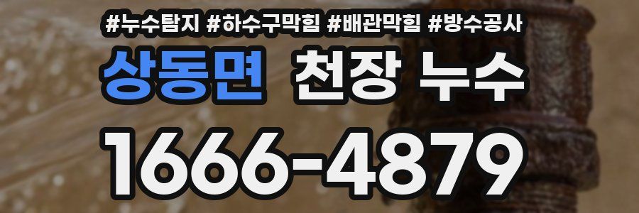 상동면 천장 누수