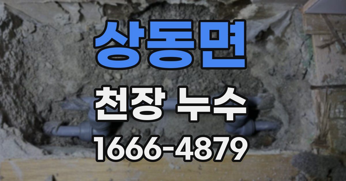 상동면 천장 누수
