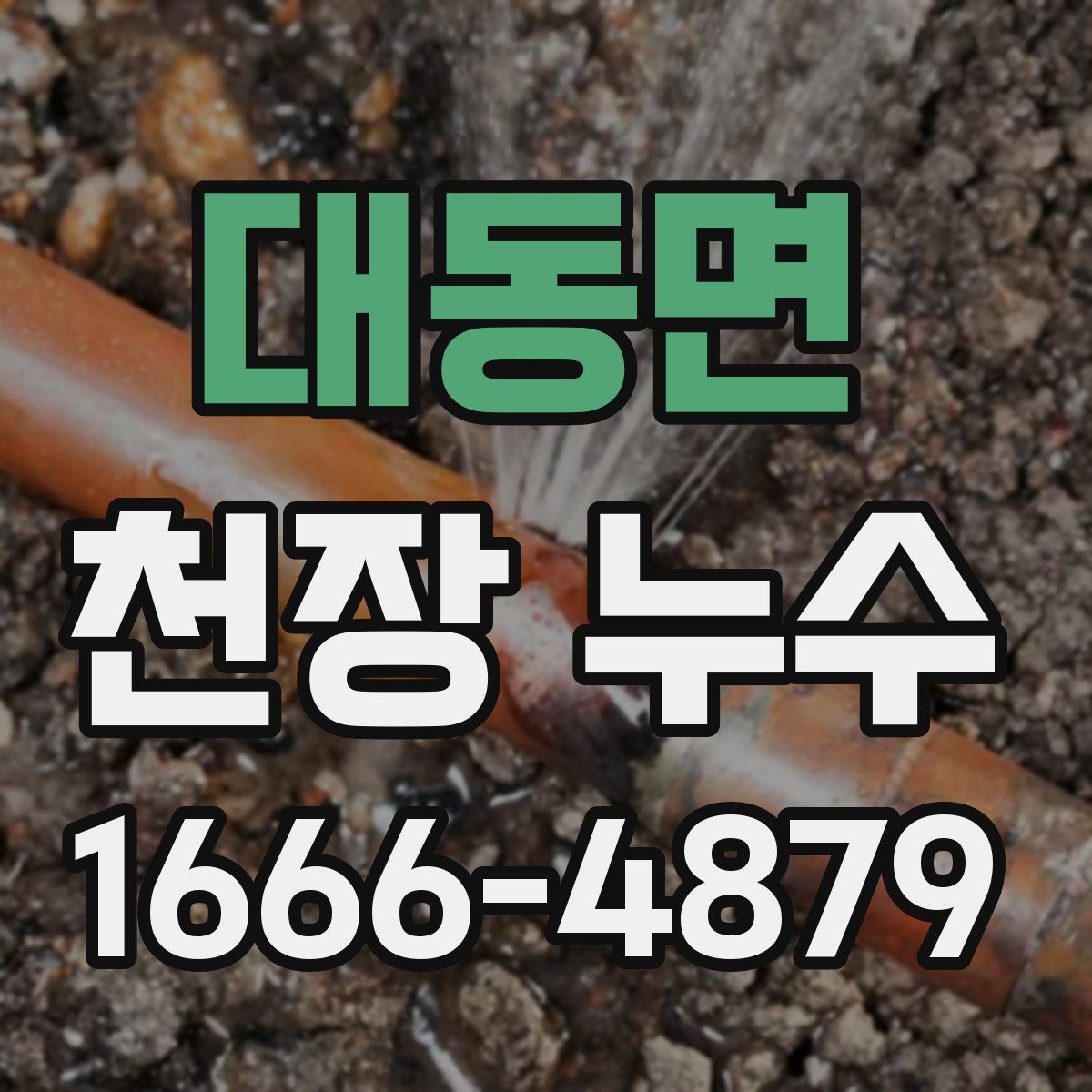 대동면 천장 누수