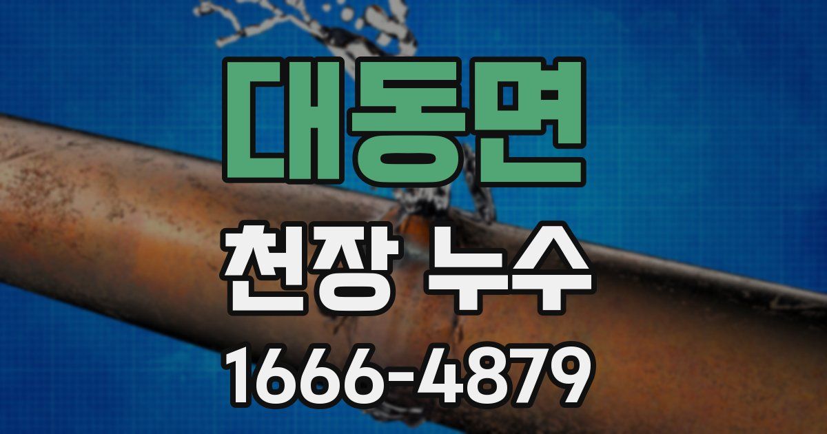 대동면 천장 누수