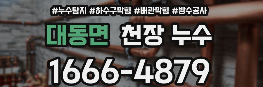대동면 천장 누수