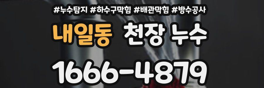 내일동 천장 누수
