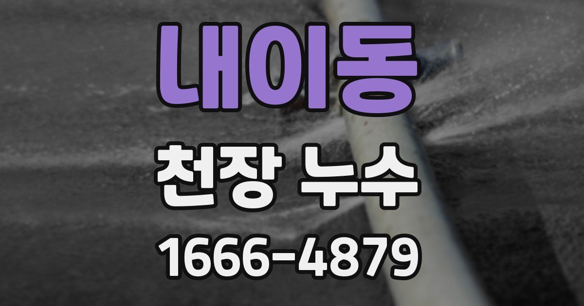 내이동 천장 누수