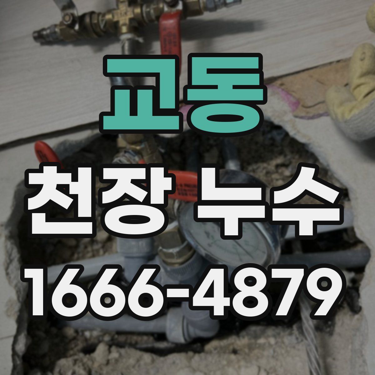 교동 천장 누수