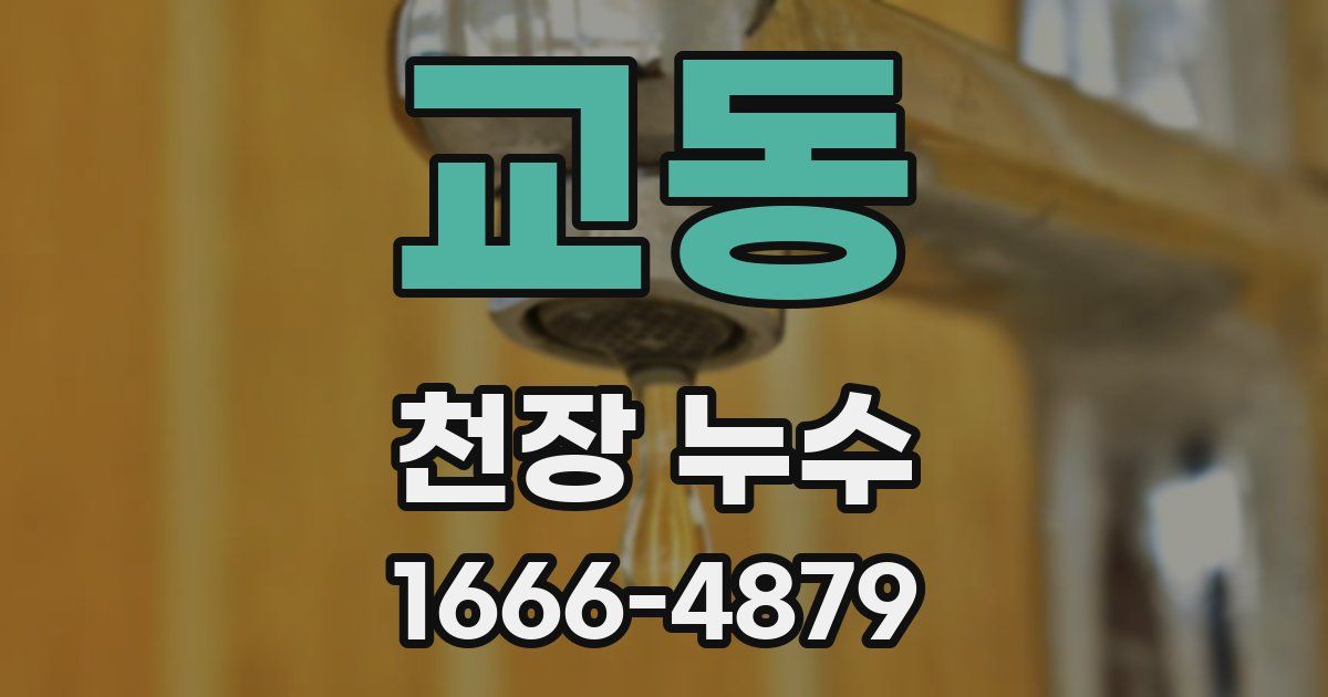 교동 천장 누수