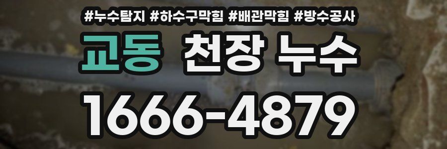 교동 천장 누수