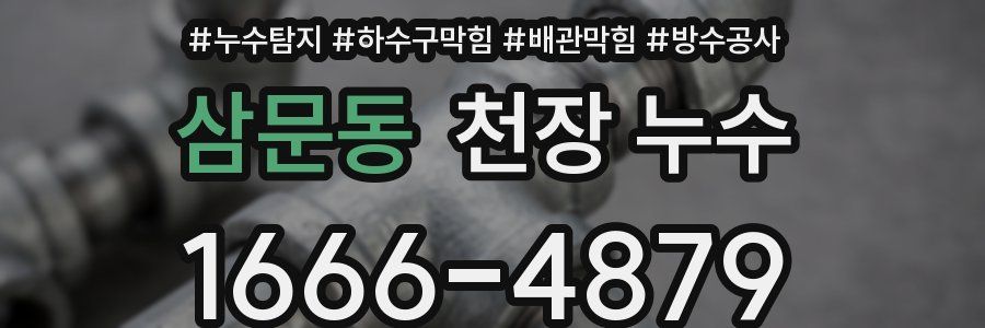 삼문동 천장 누수