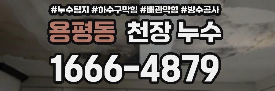 용평동 천장 누수