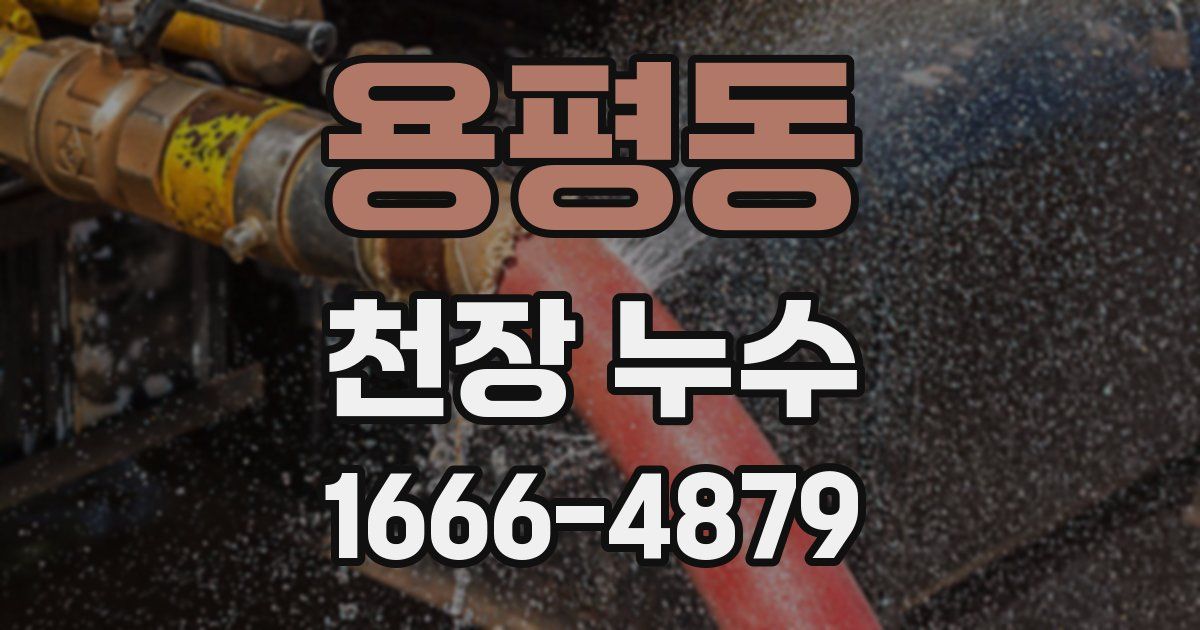 용평동 천장 누수