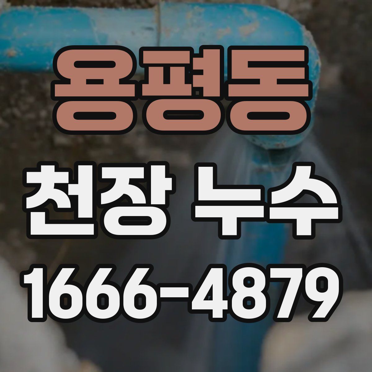 용평동 천장 누수